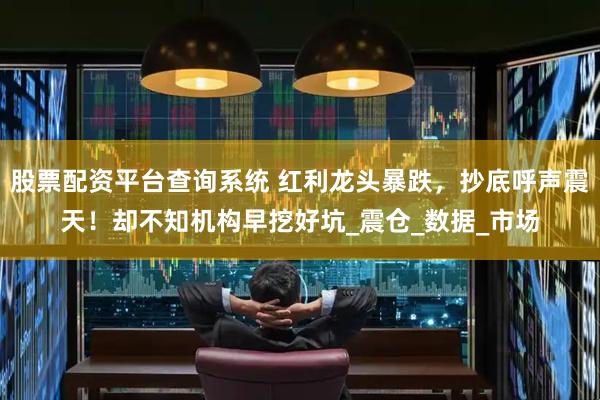 股票配资平台查询系统 红利龙头暴跌，抄底呼声震天！却不知机构早挖好坑_震仓_数据_市场