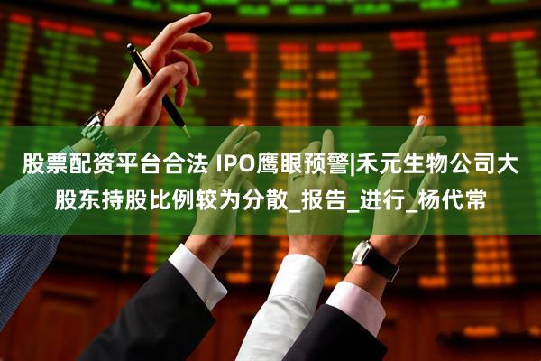股票配资平台合法 IPO鹰眼预警|禾元生物公司大股东持股比例较为分散_报告_进行_杨代常