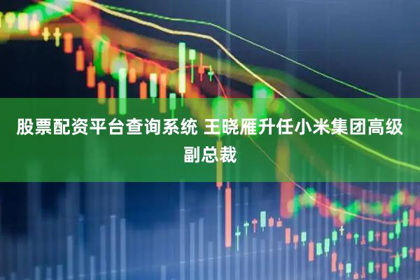 股票配资平台查询系统 王晓雁升任小米集团高级副总裁