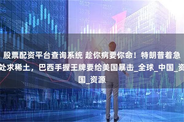 股票配资平台查询系统 趁你病要你命！特朗普着急到处求稀土，巴西手握王牌要给美国暴击_全球_中国_资源