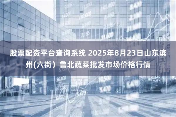 股票配资平台查询系统 2025年8月23日山东滨州(六街）鲁北蔬菜批发市场价格行情