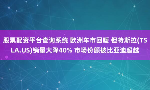 股票配资平台查询系统 欧洲车市回暖 但特斯拉(TSLA.US)销量大降40% 市场份额被比亚迪超越